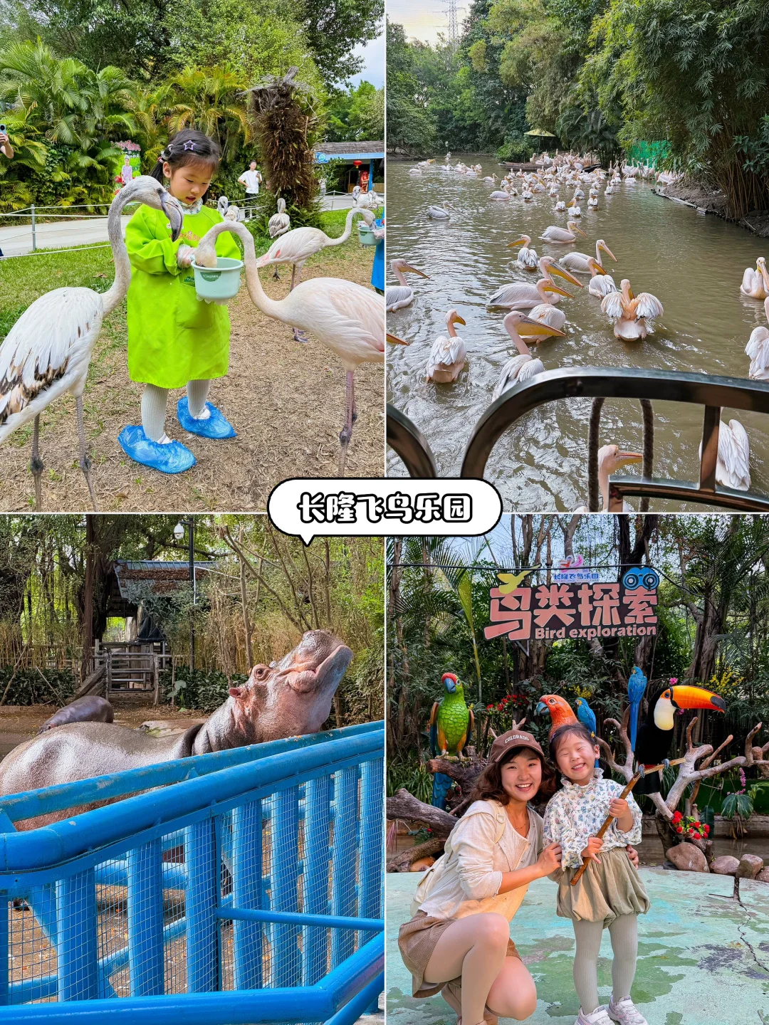 人生建议，一定要带孩子来一次广州