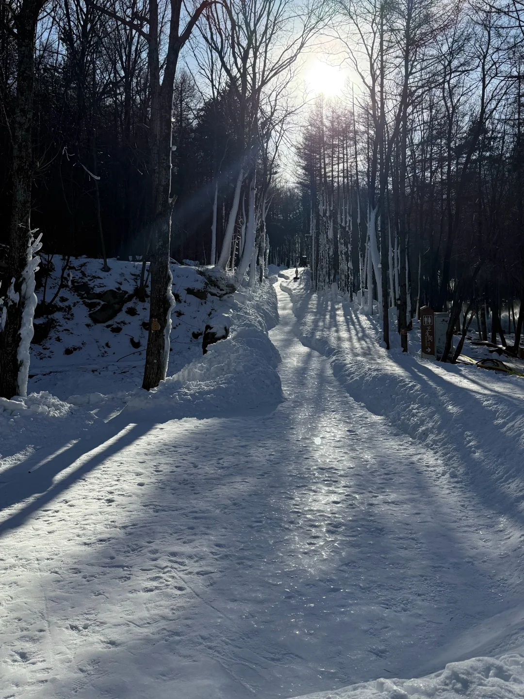 别再只知道去老君山了！白云山也超好玩