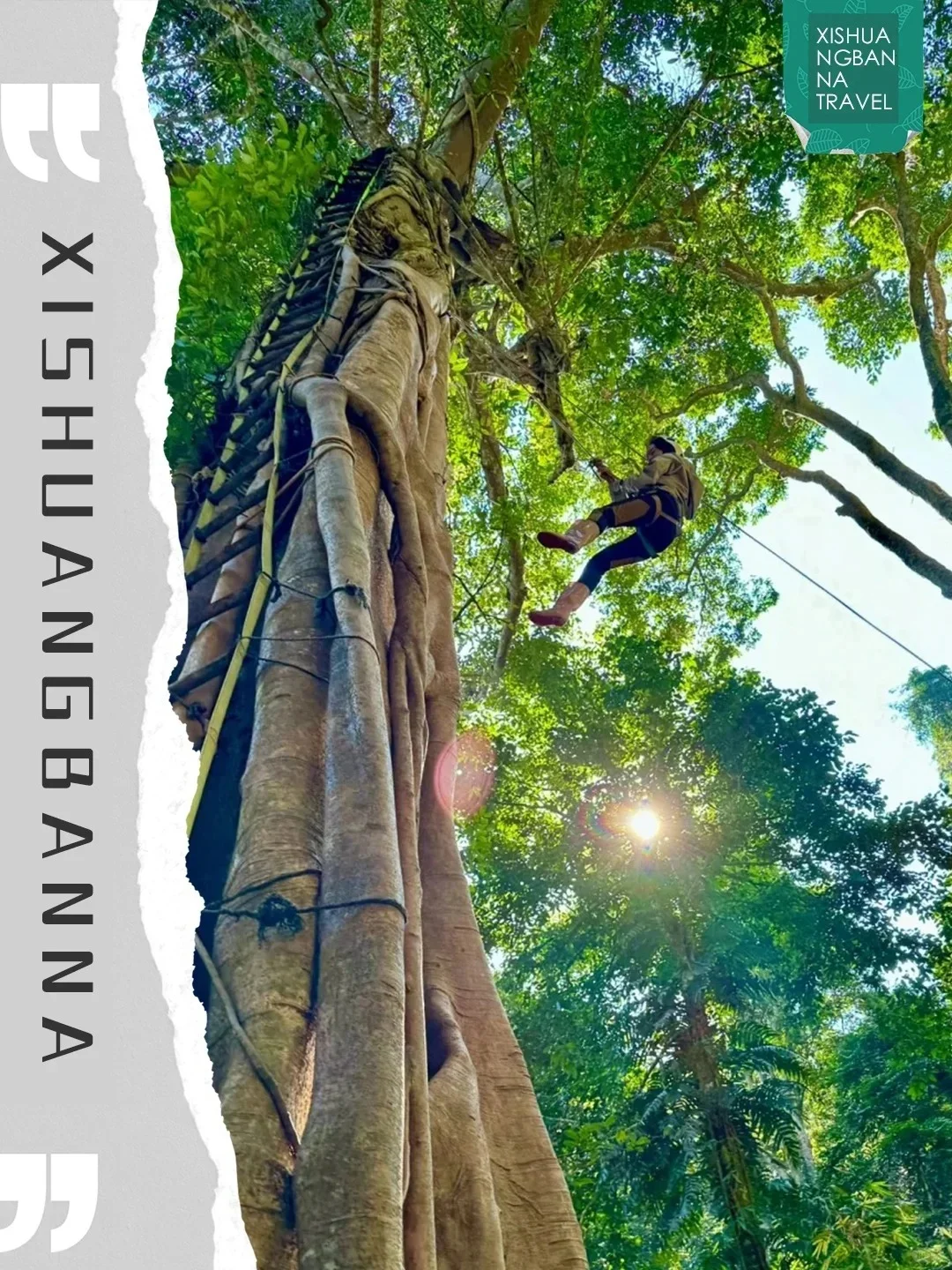 版纳｜特种兵旅行必去景点合集🔥