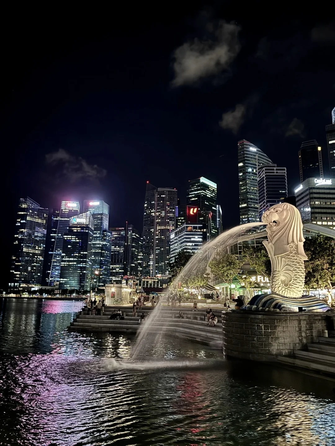 新加坡旅行攻略：必去景点与实用小贴士分享