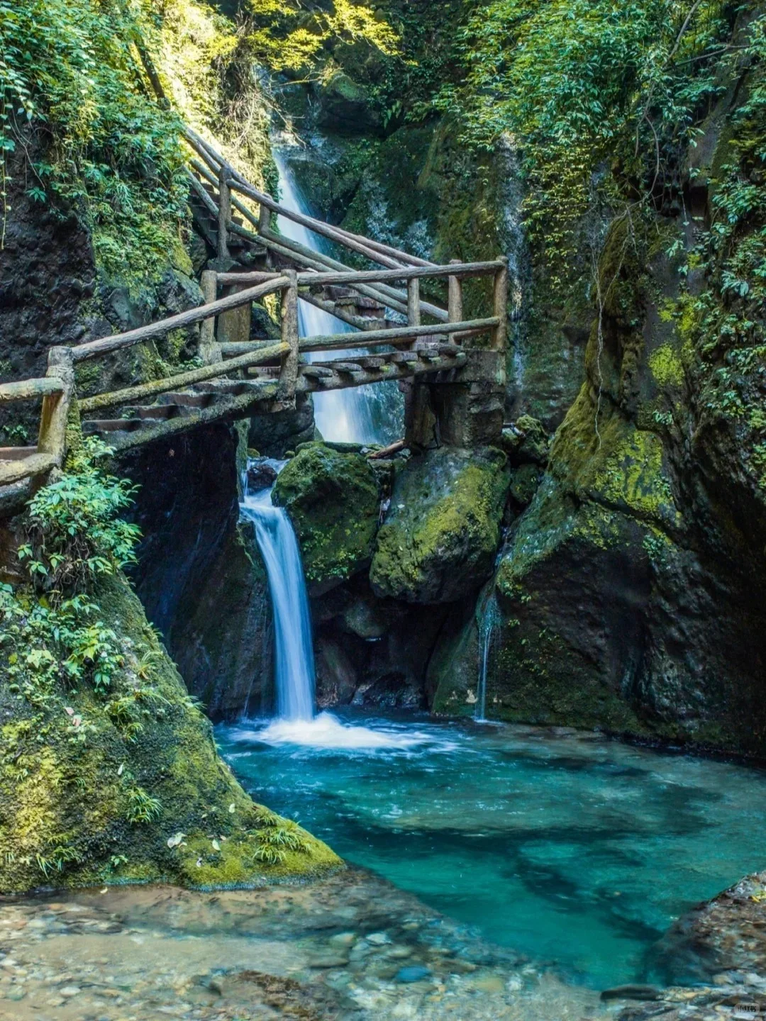 都江堰+青城前山!免票!全国大学生!