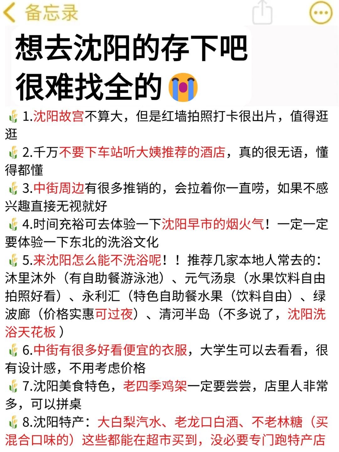 刚和闺蜜从沈阳回来🥶我的建议是……