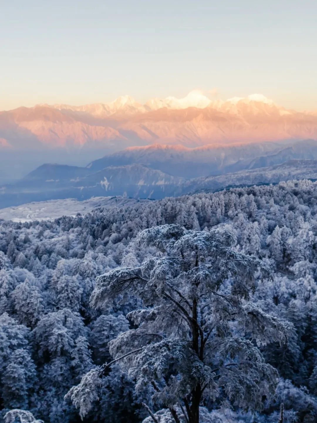别跑远了❗️成都周边就有的玩雪看雾凇圣地
