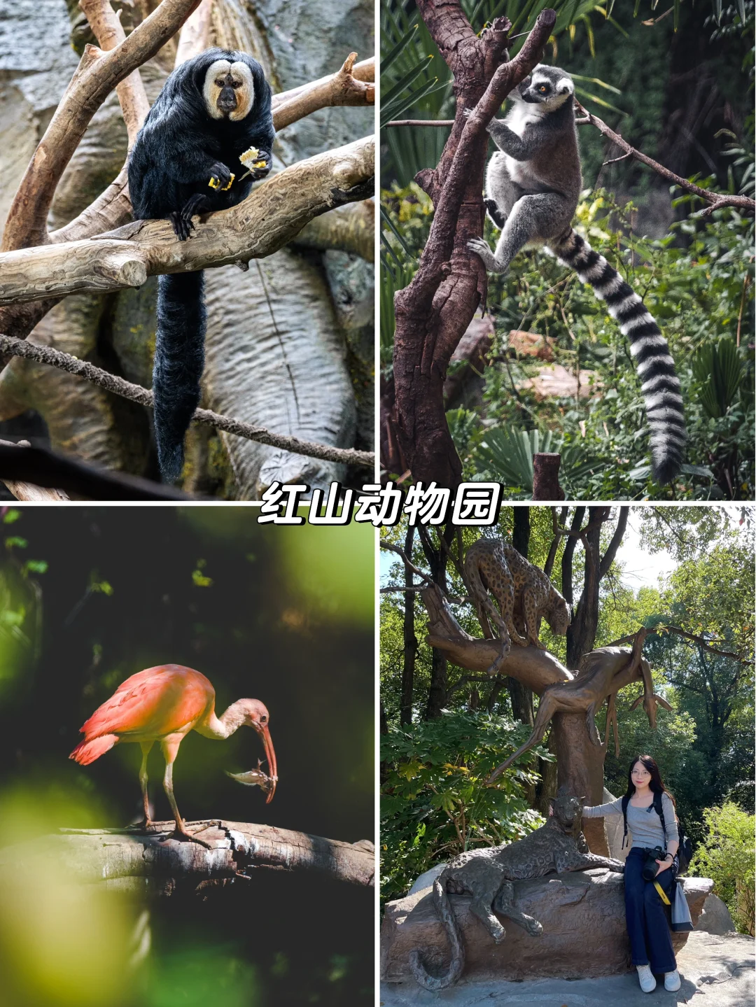 不踩雷推荐，南京地铁1号线的宝藏景点收集