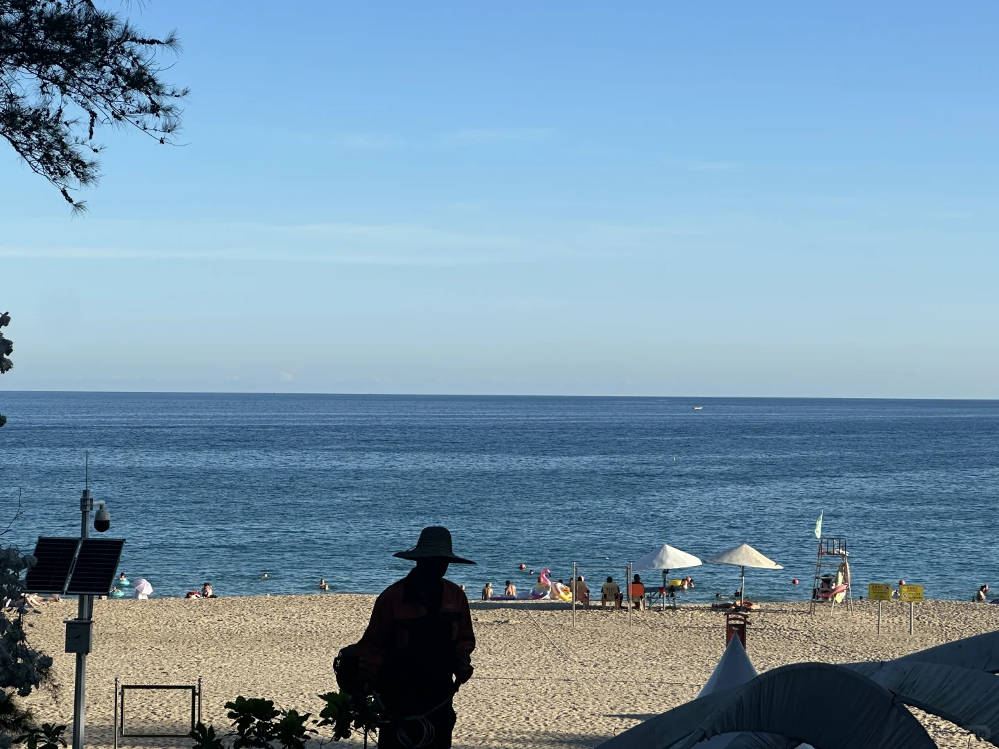 2024是忙碌但是passion的一年