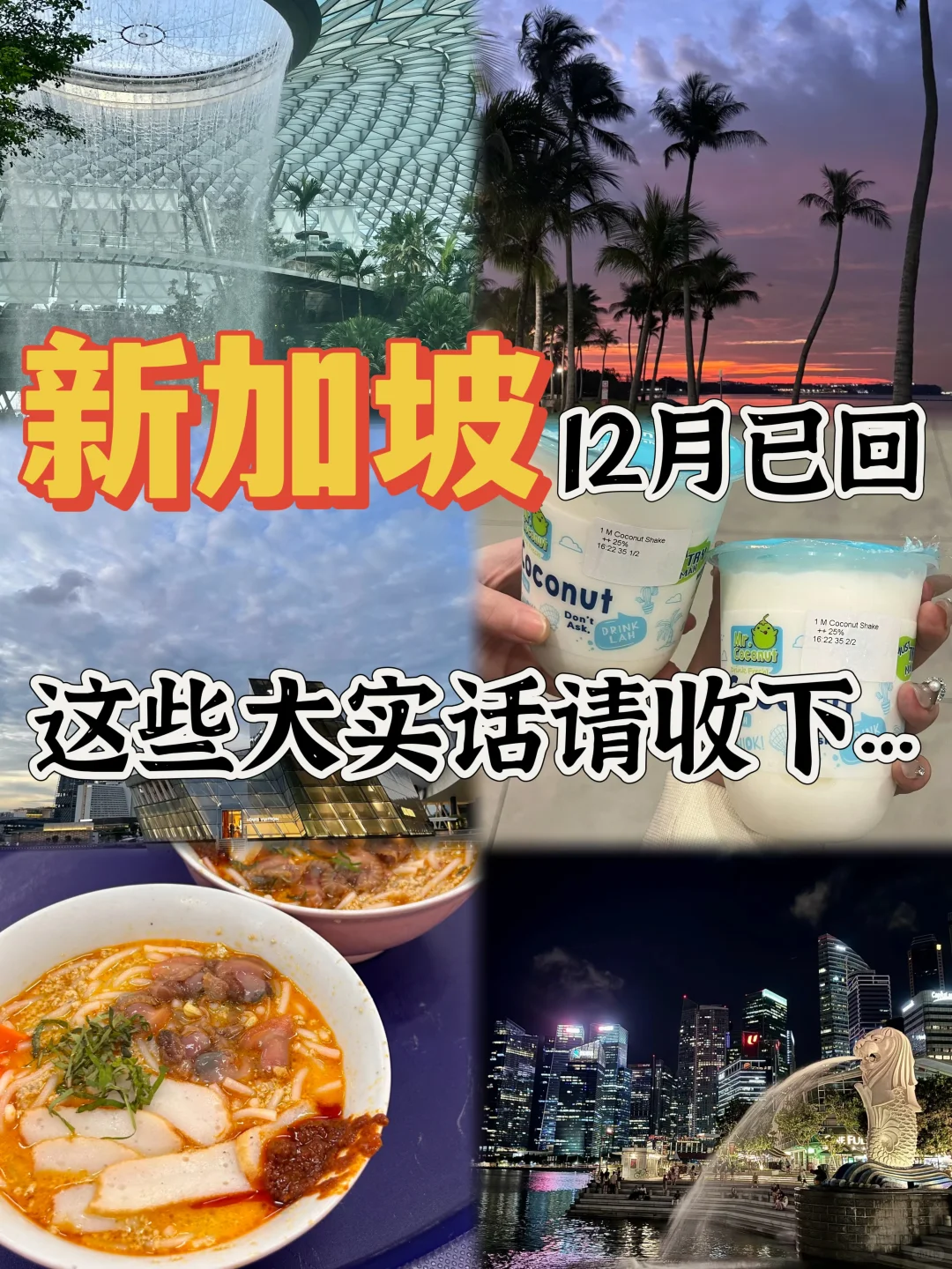 新加坡旅行攻略：必去景点与实用小贴士分享