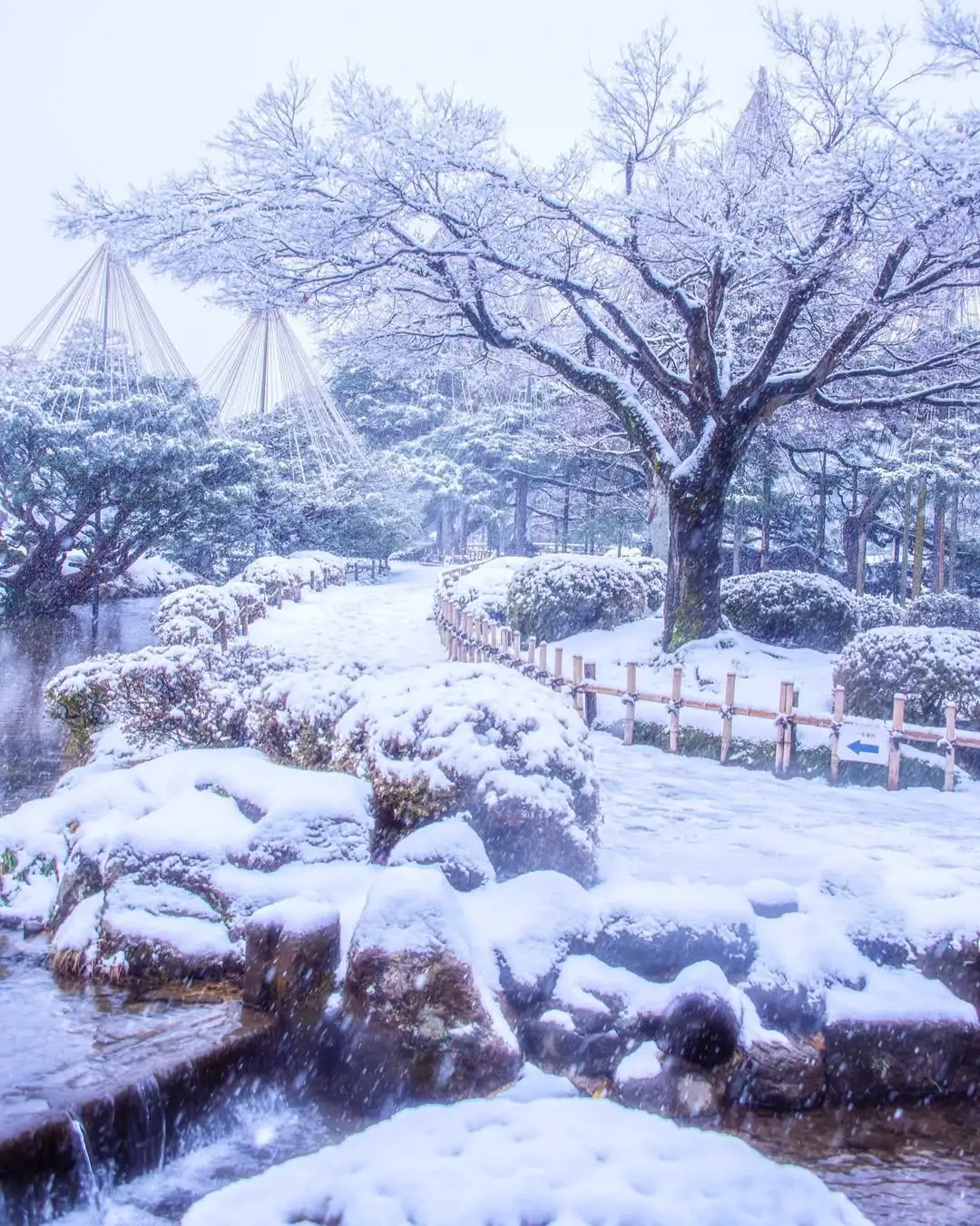 名古屋或大阪进出，白川乡金泽JR交通攻略