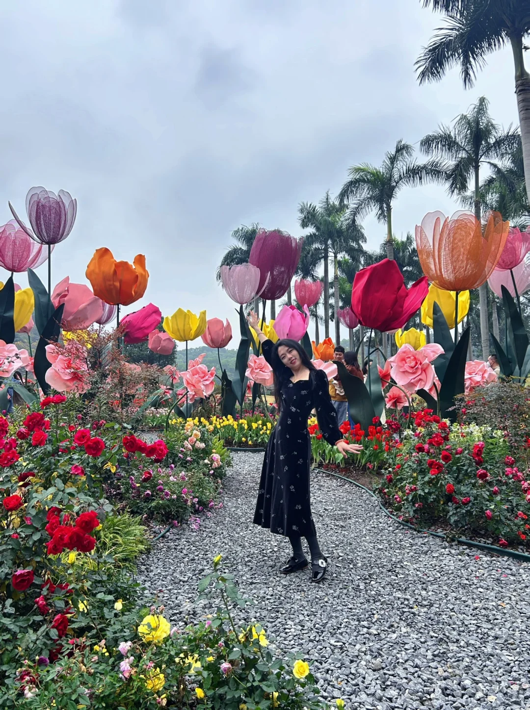 广州朋友收到通知没？云台花园郁金香要来了