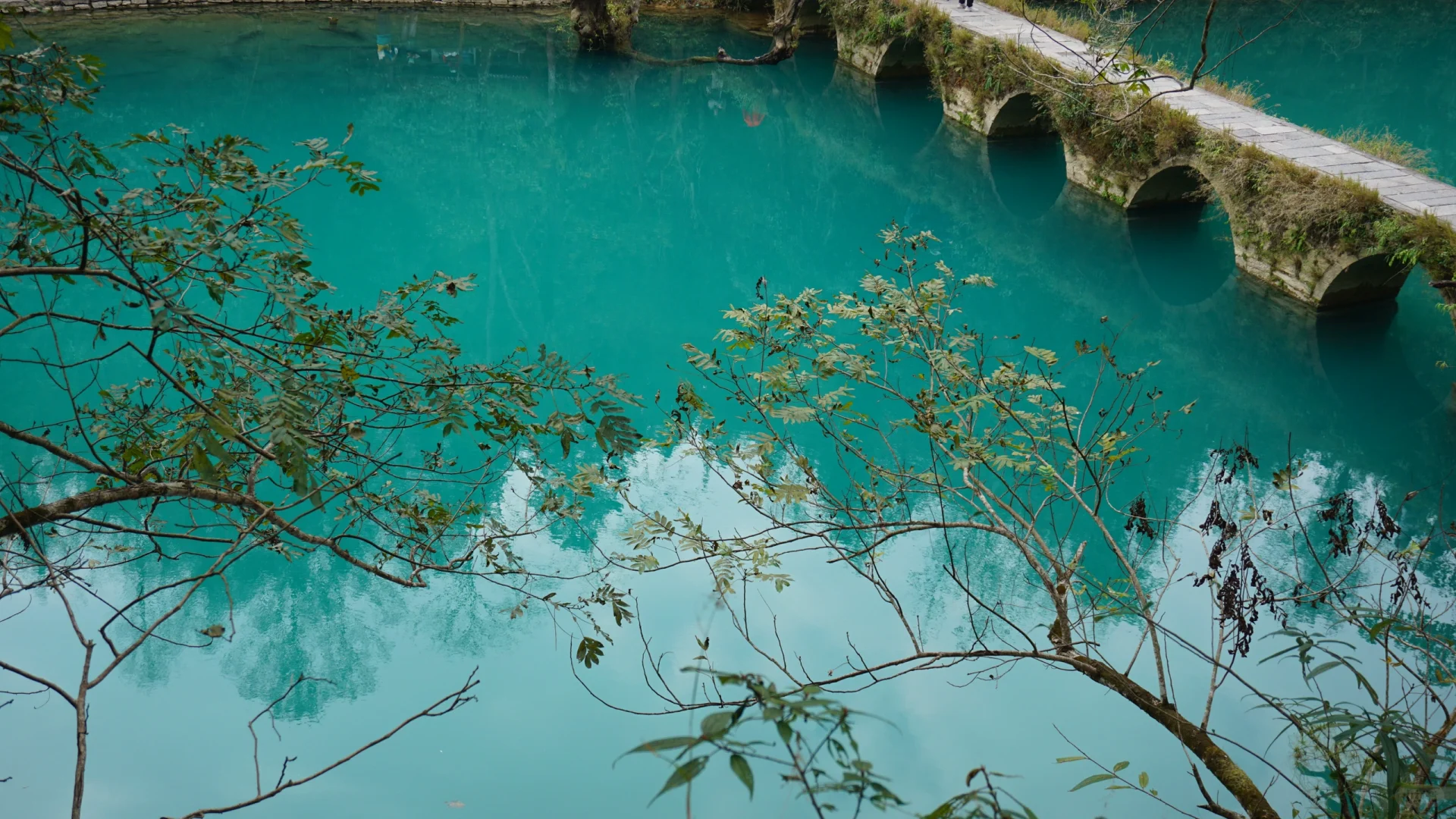 樟江幻境🏞️-Day110-贵州黔南州荔波篇