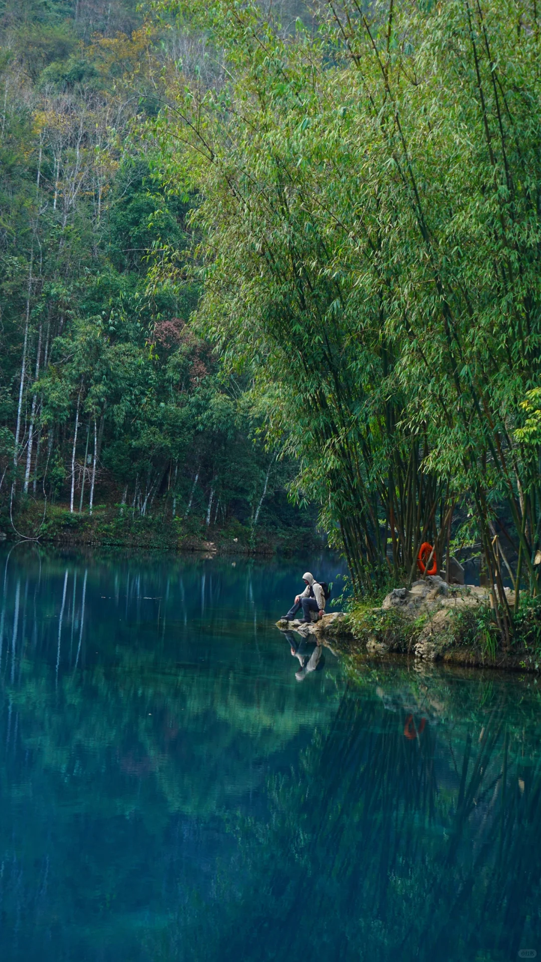 樟江幻境🏞️-Day110-贵州黔南州荔波篇
