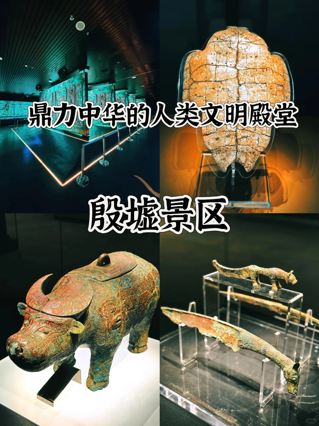 河南最值得去的十几个 5 A 级旅游景区