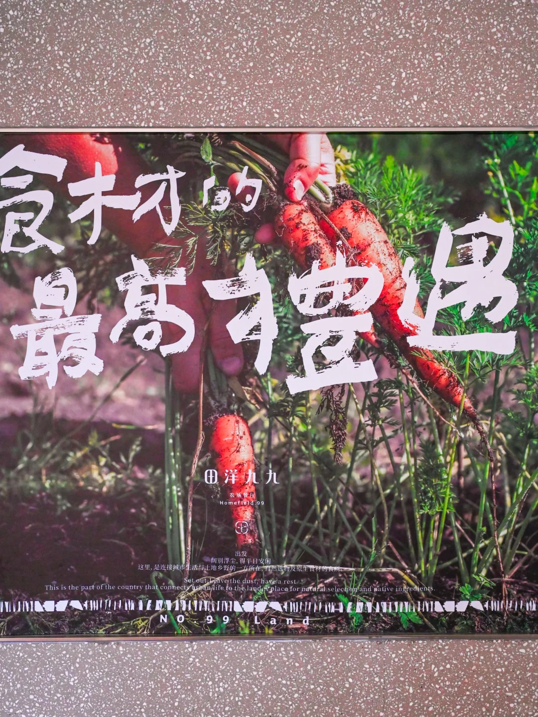 泉州周边游|感受都市闽南田园部落！走进田野