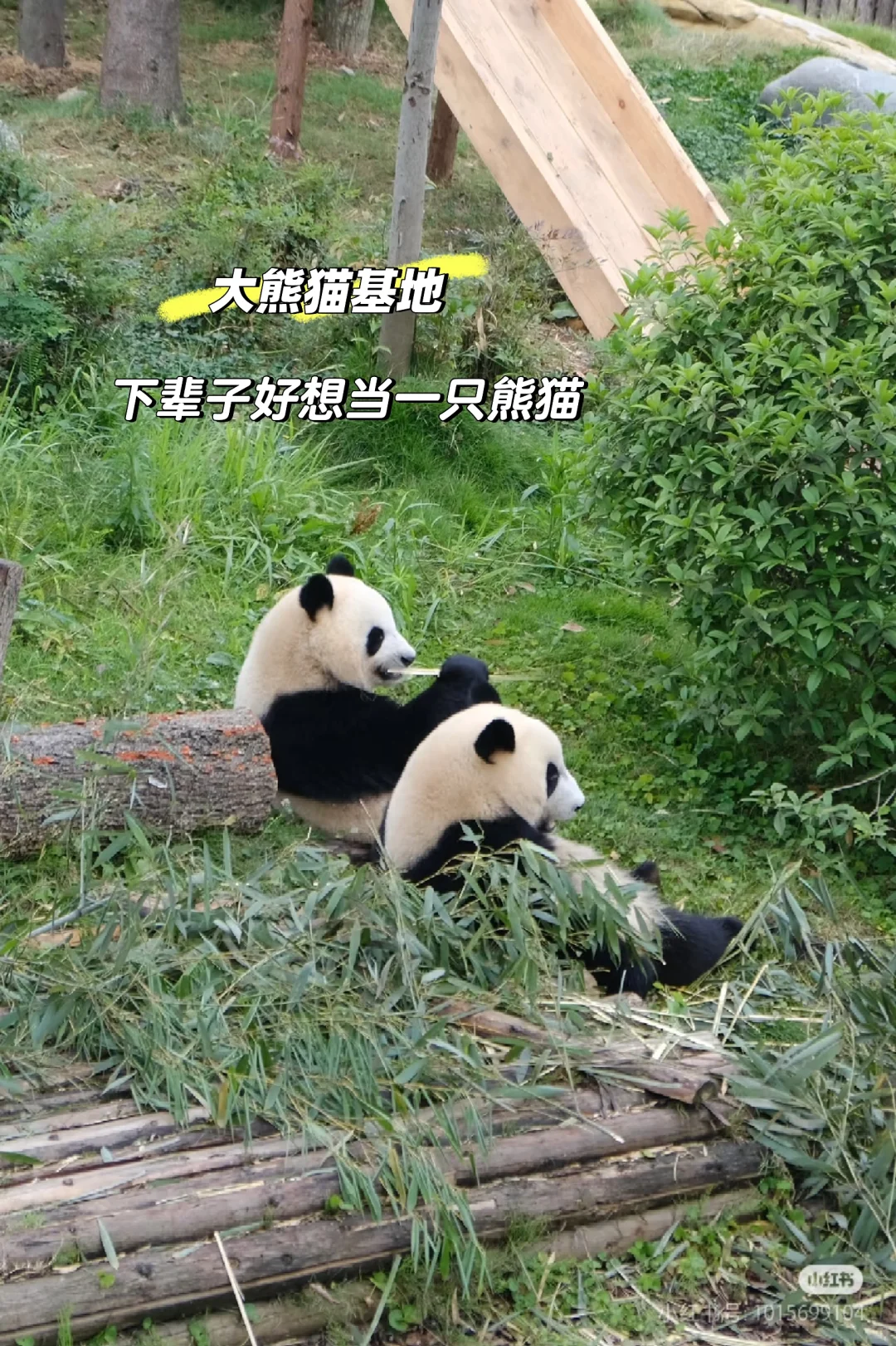 四川📍劝退不了一点,真心建议还没来的