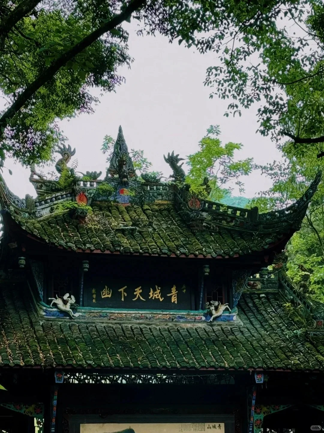 都江堰+青城前山!免票!全国大学生!