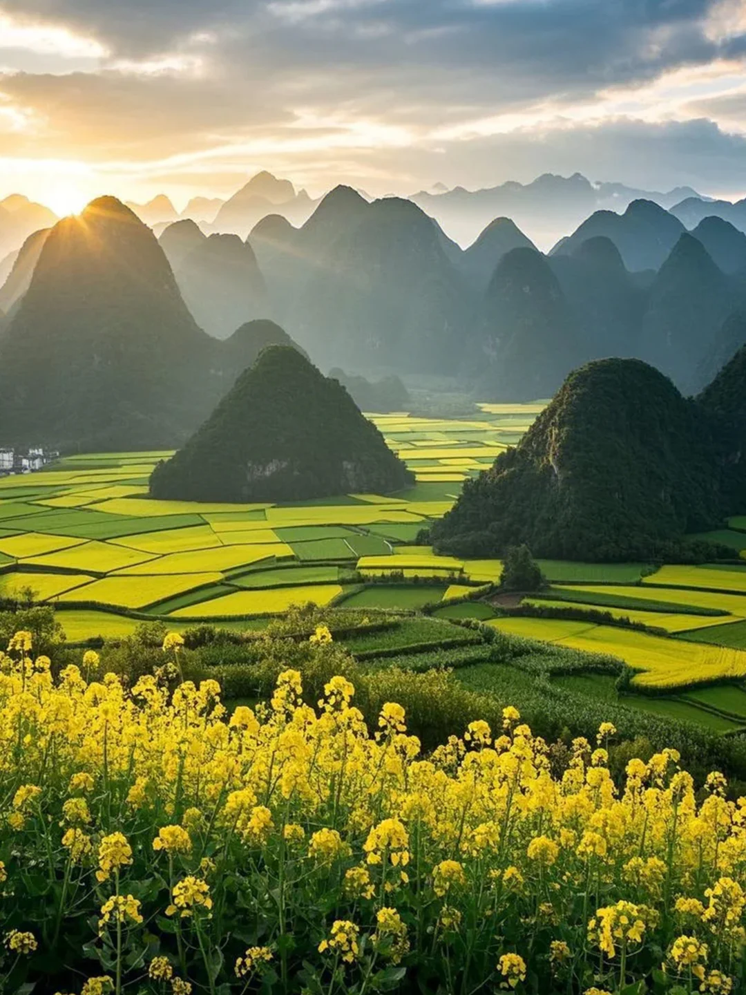 春节反向旅游✅和老公去贵州赏最早油菜花海