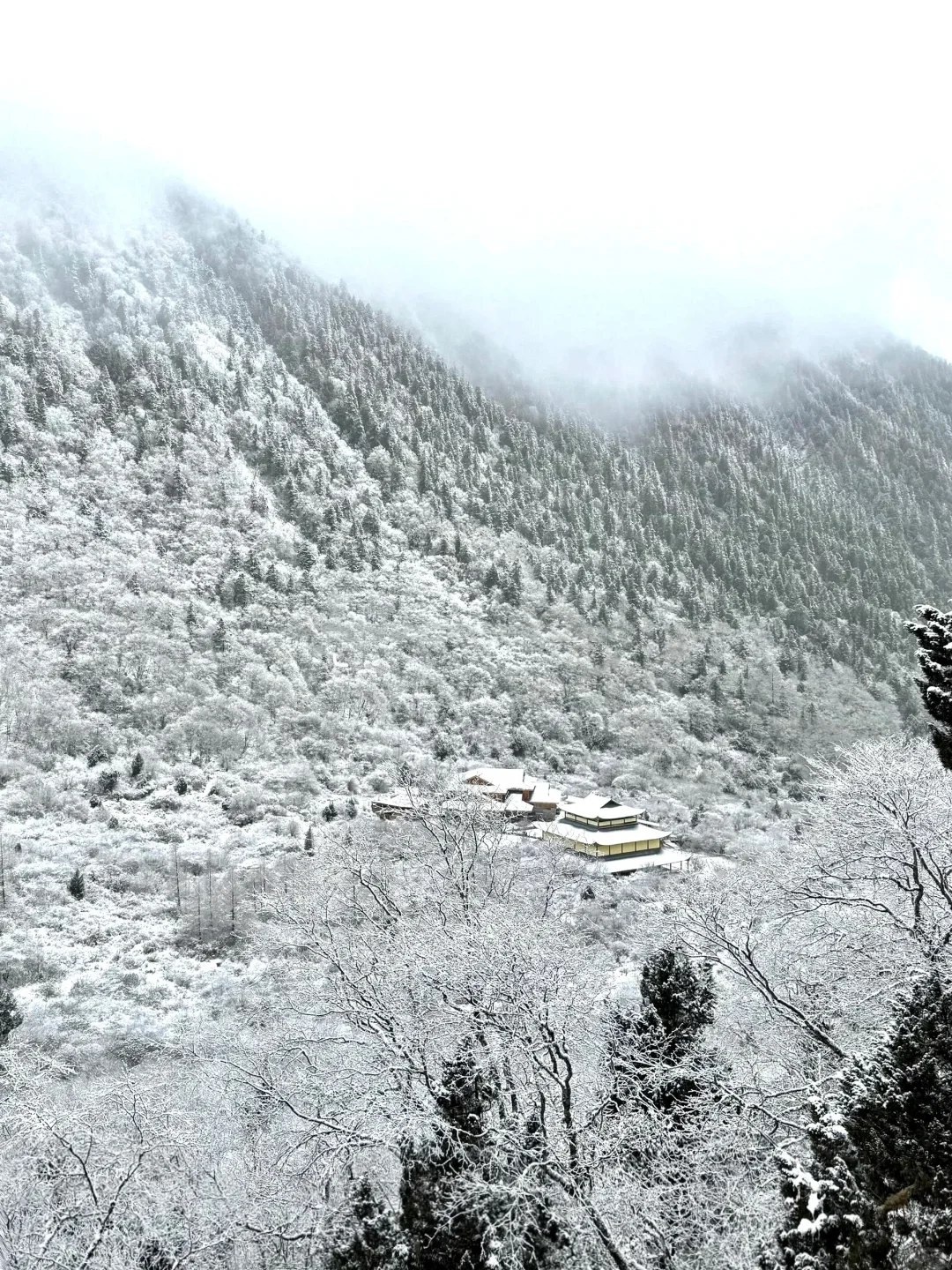 淡季的九寨沟，真的太美啦！！