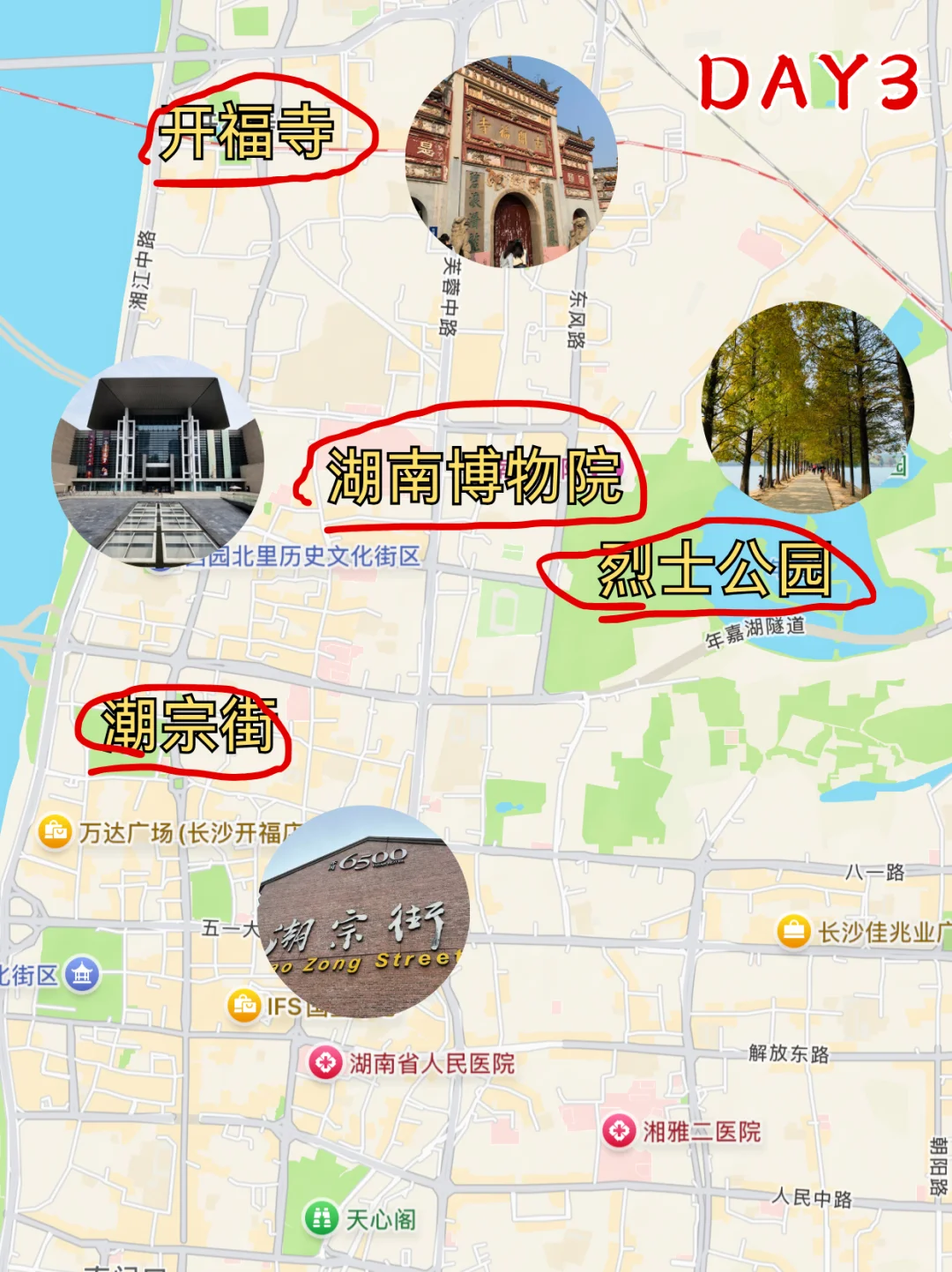 对自己连夜做的长沙旅游攻略满意得睡不着
