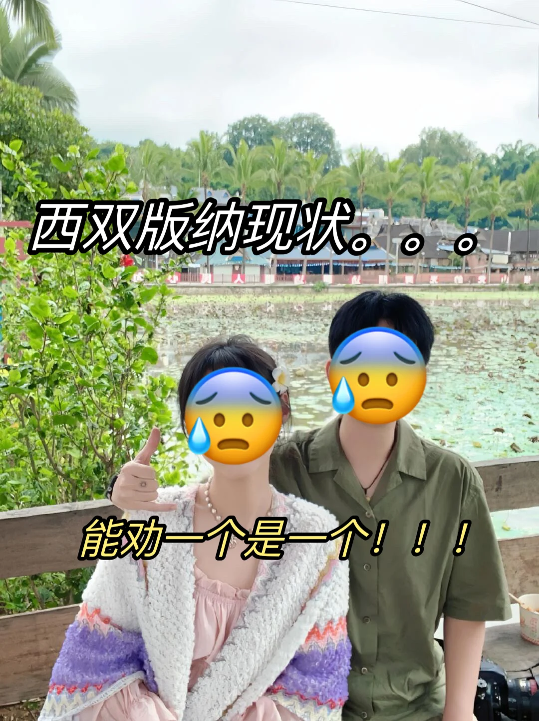 版纳已回❗能劝一个是一个！