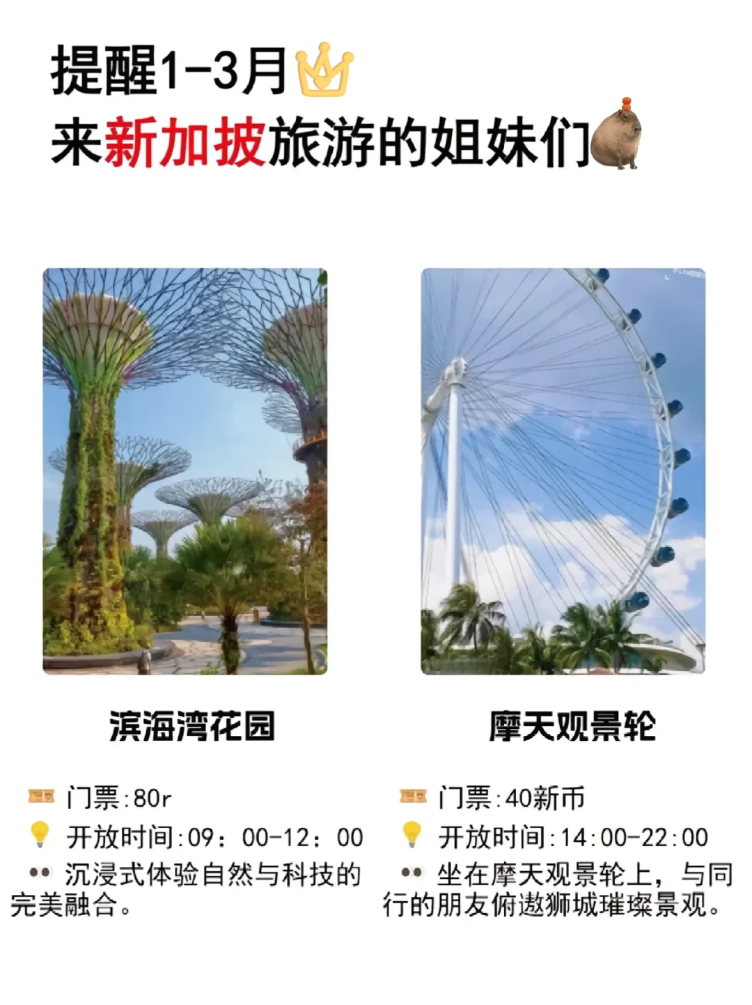 🇸🇬新加坡⚠️1-3月新规｜一定要看！
