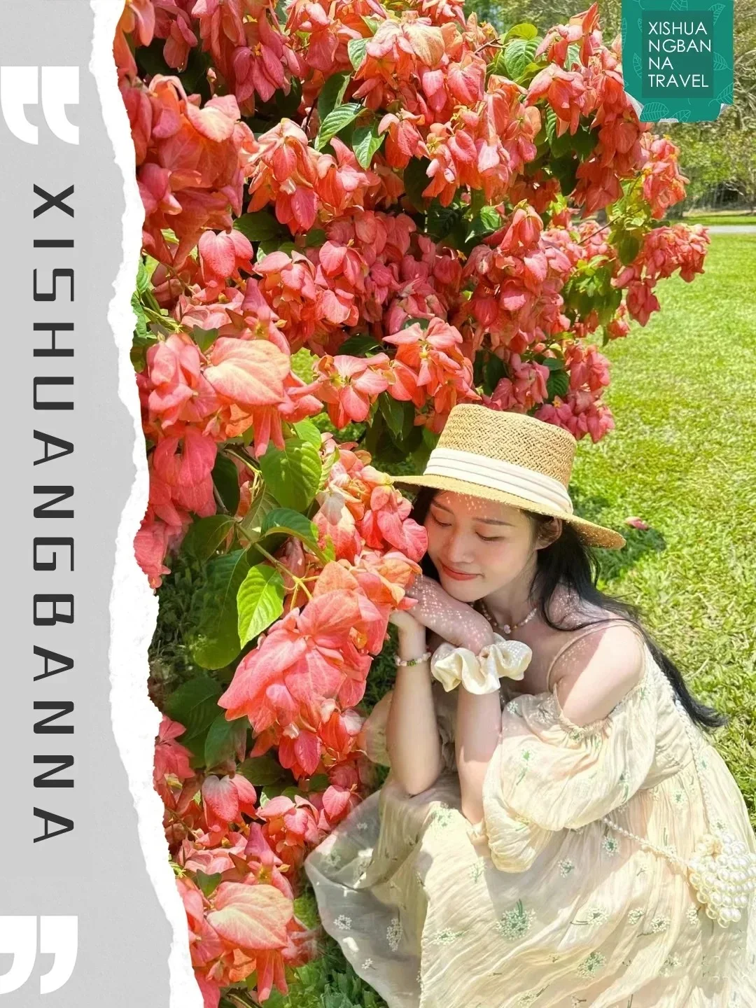 版纳｜特种兵旅行必去景点合集🔥