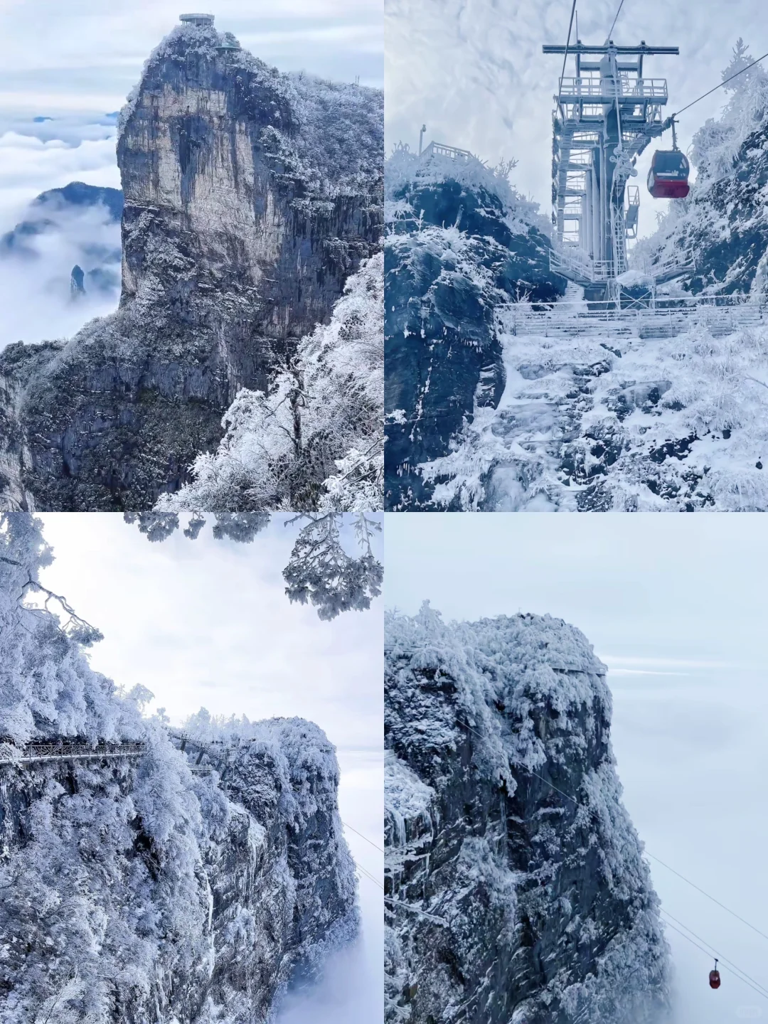 张家界下雪了❗️去看雪滑雪先做好这些准备