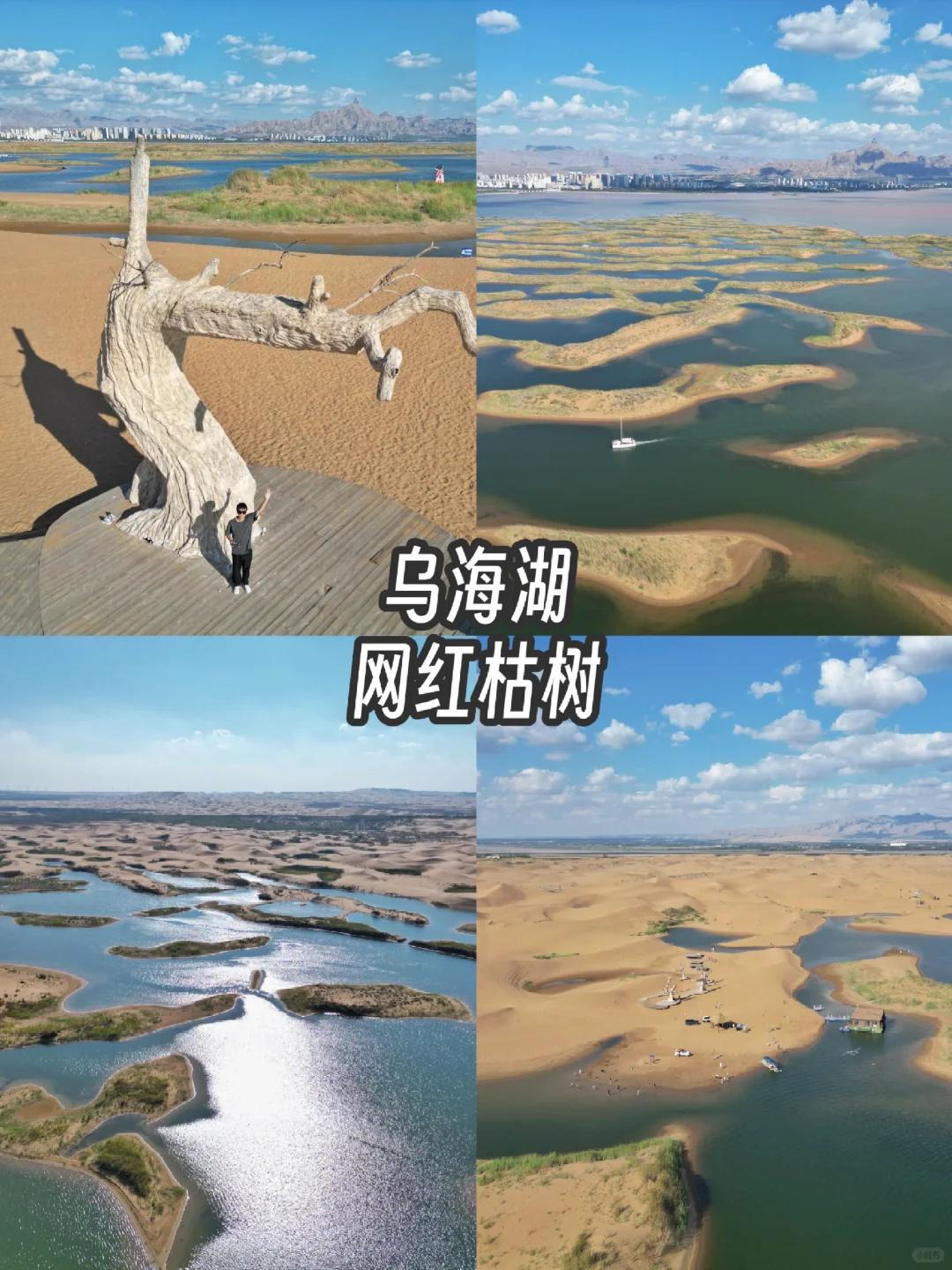 乌海旅游攻略，一日游总消费243元