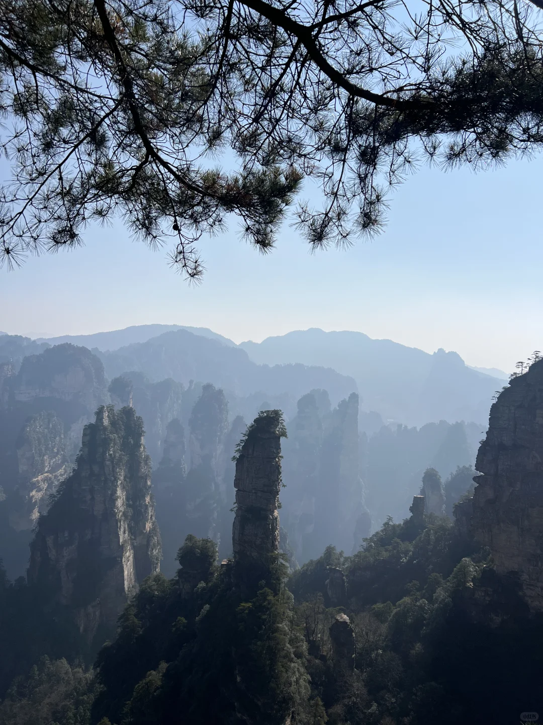 淡季的张家界太香了（附三天两夜路线）
