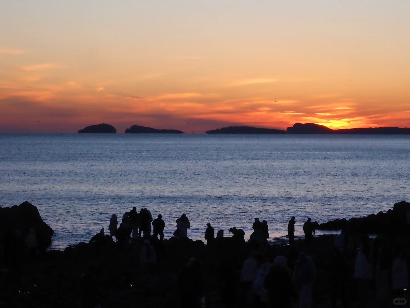 在大连当松弛特种兵!🌊🌊🌊