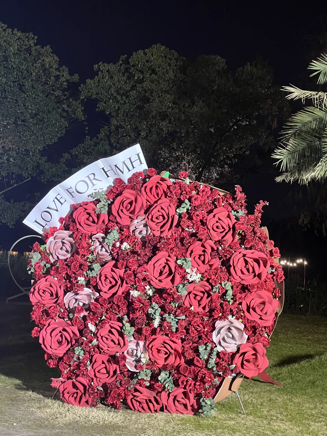 侯明昊大花已移至广州街景区，欢迎桃妹打卡～