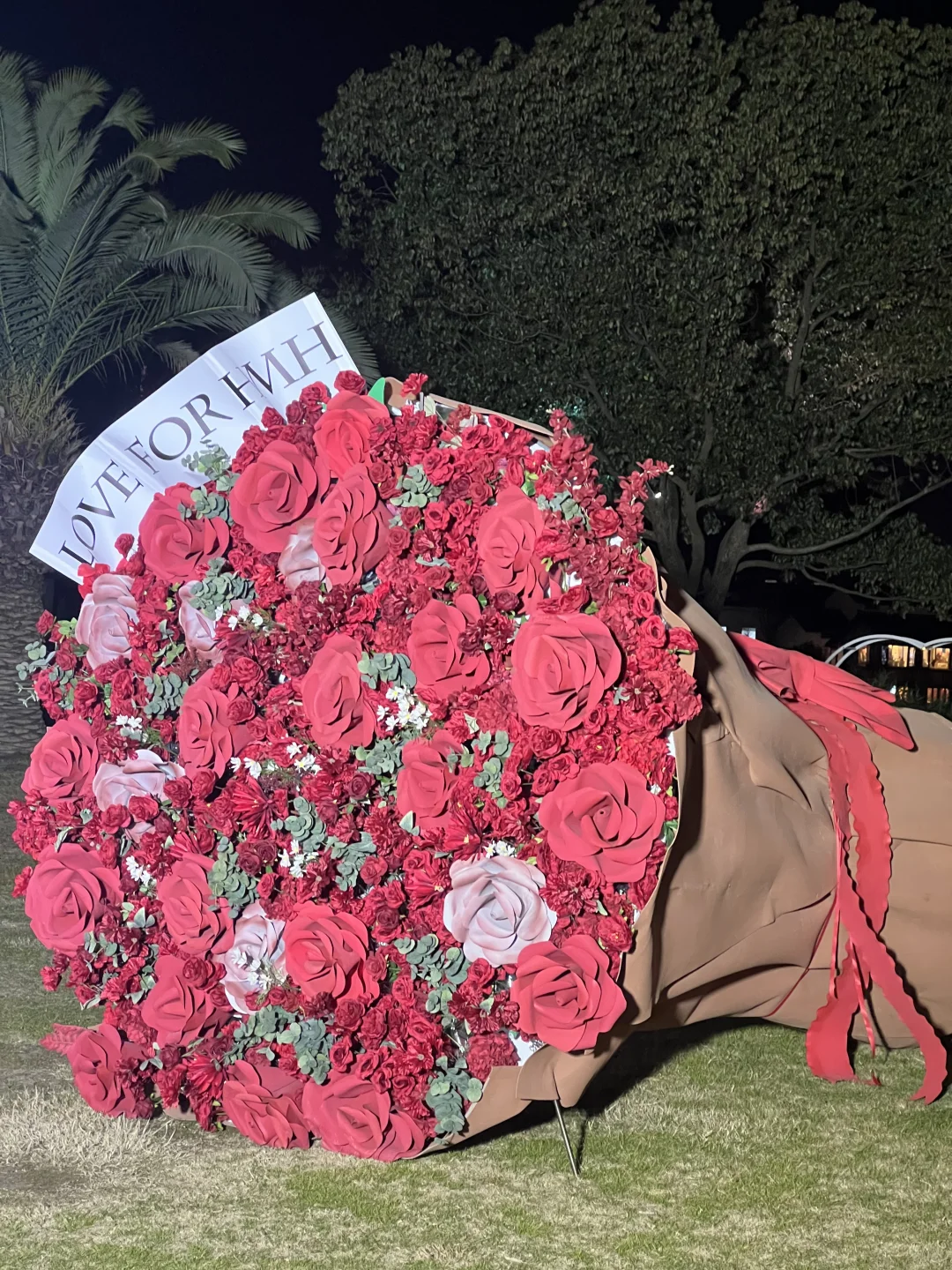 侯明昊大花已移至广州街景区，欢迎桃妹打卡～