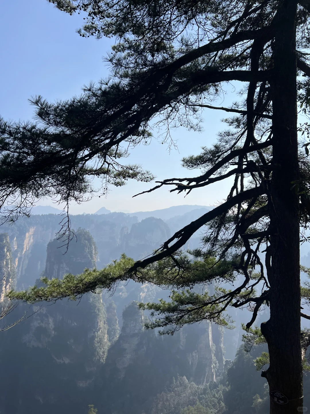 淡季的张家界太香了（附三天两夜路线）