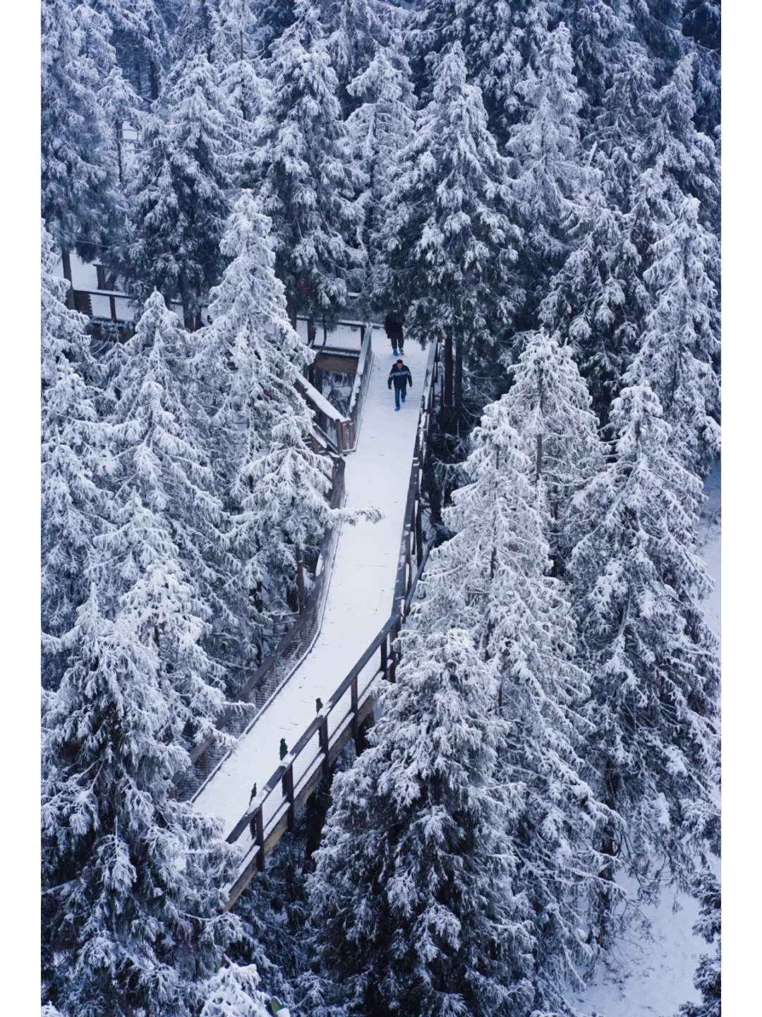 ❄️重庆周边3大景区玩雪攻略❗️一天往返