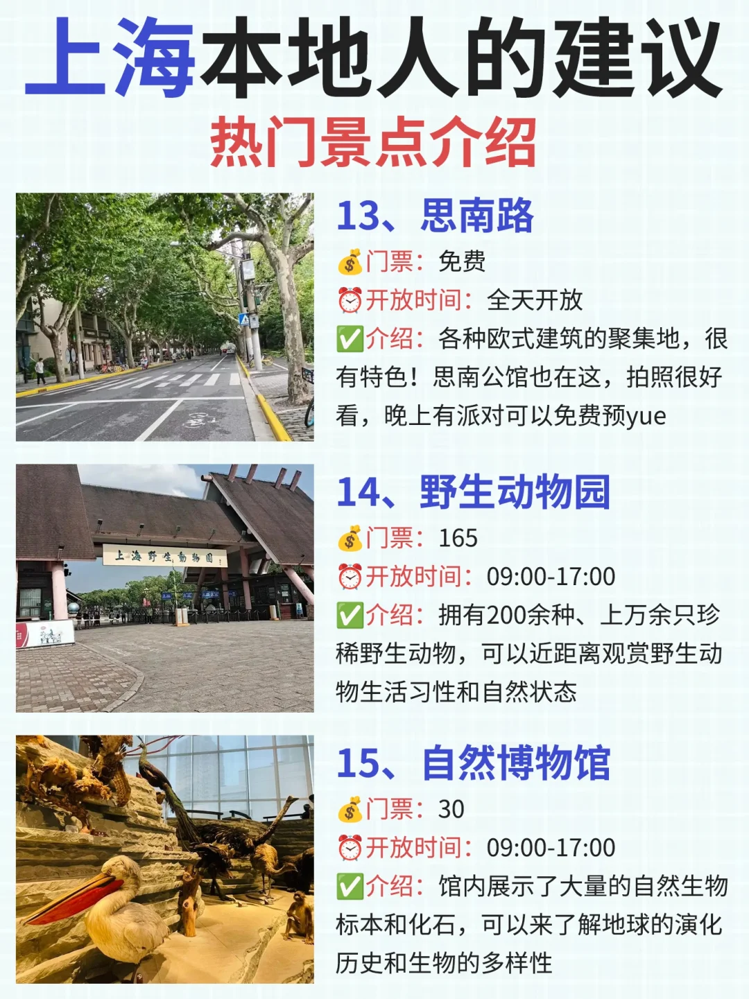 上海本地人建议❗这些地方真的要去⚠