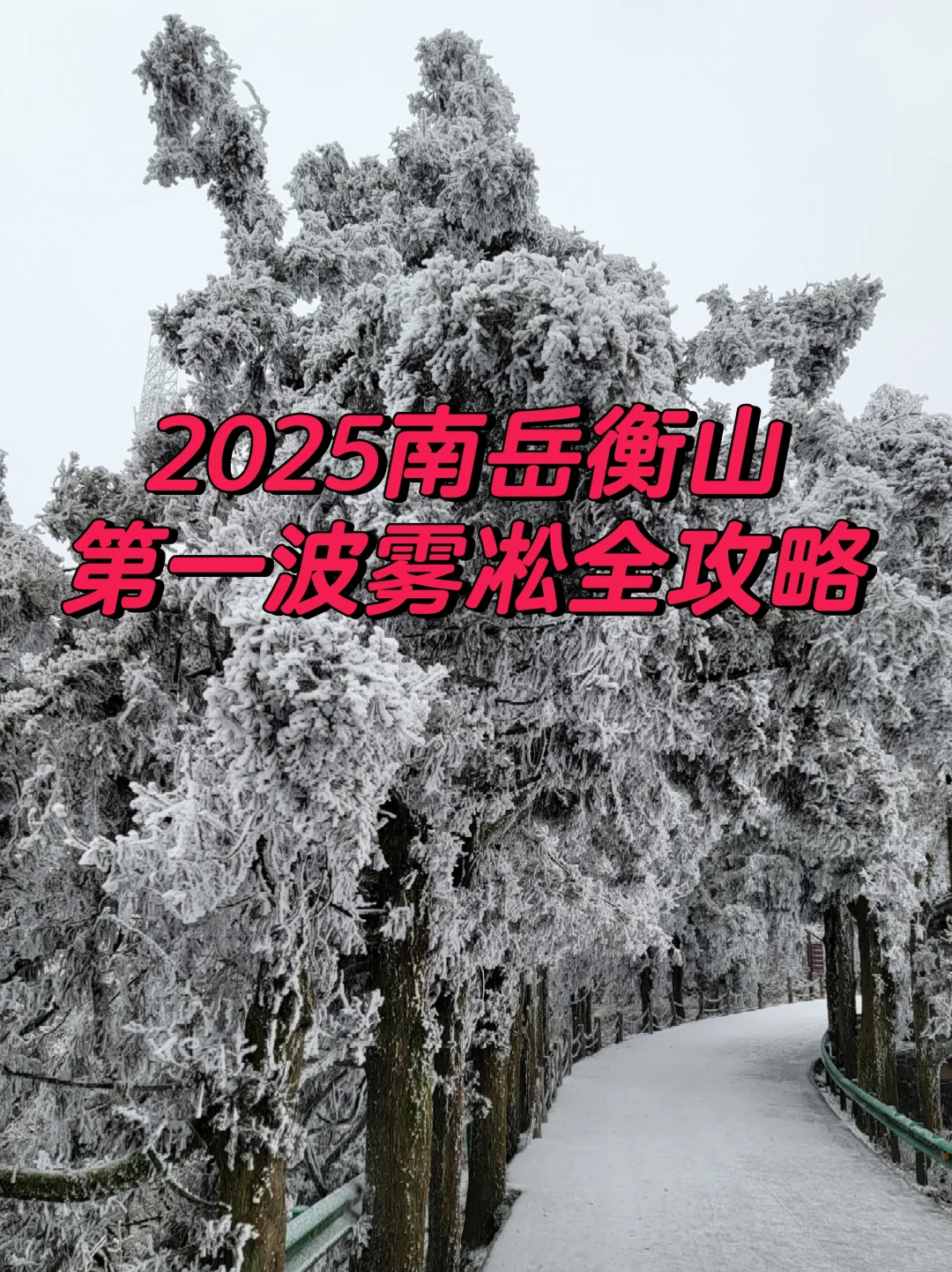 南岳衡山2025第一波雾凇全攻略