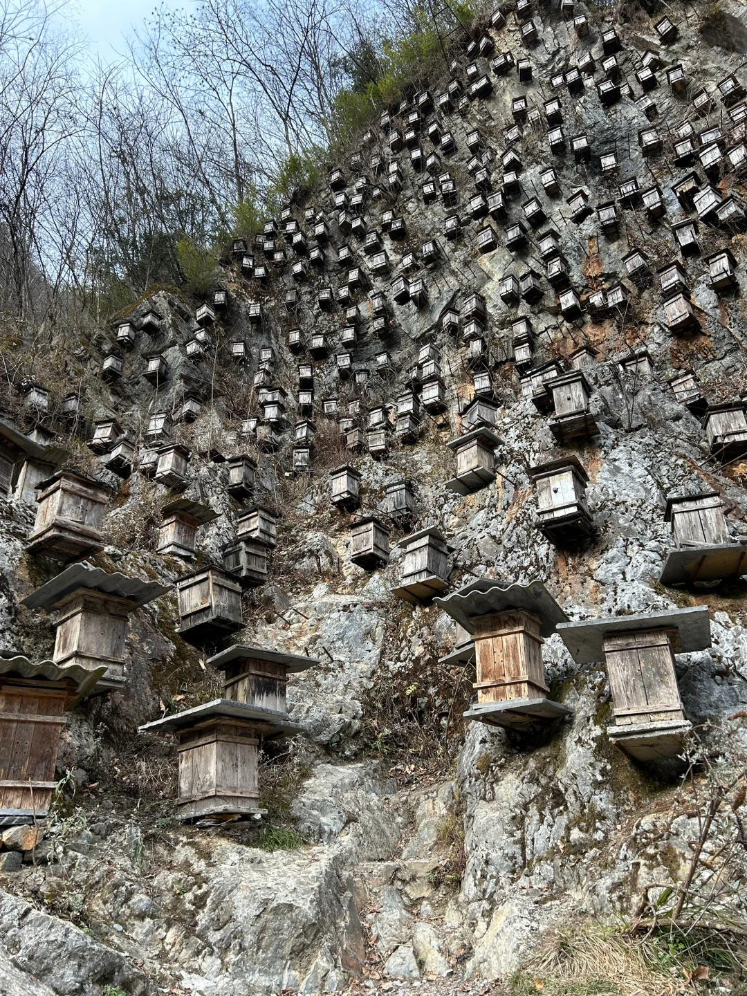 1月9号实况两人两狗自驾东莞-神农架之神农