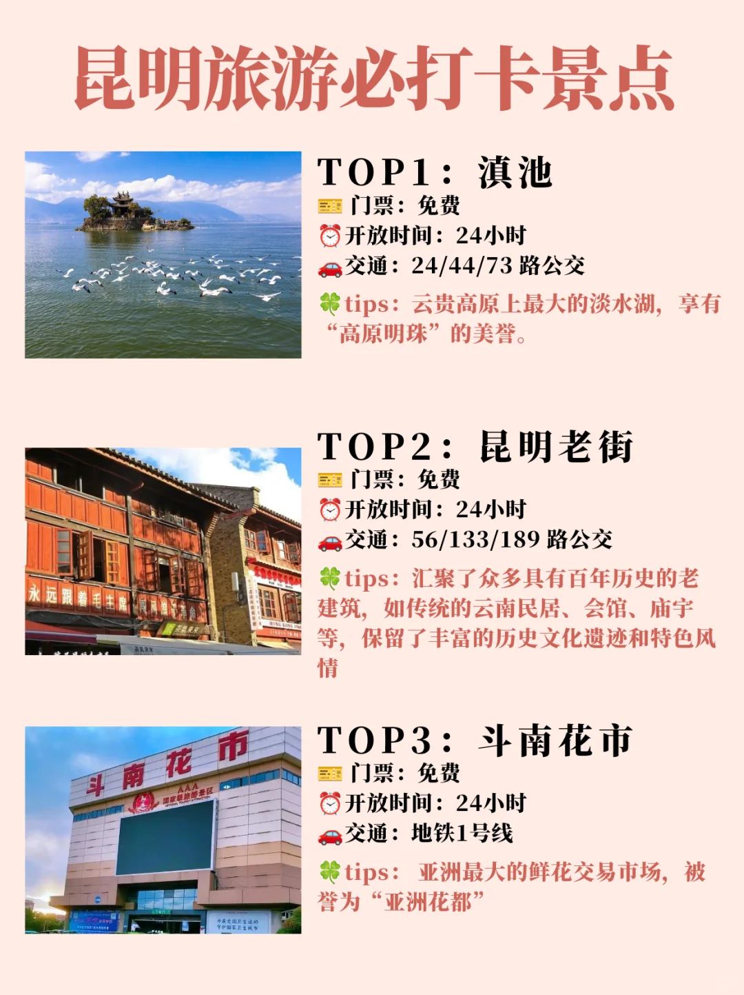 昆明!!1-2🈷️旅游必打卡景点攻略