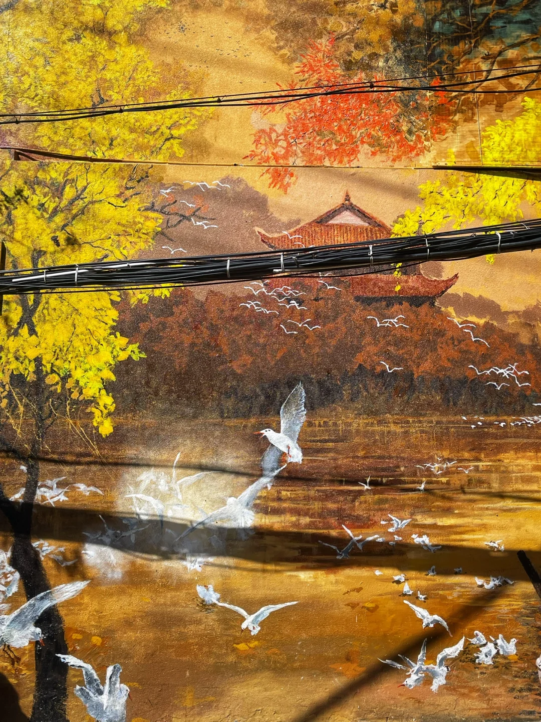 昆明｜这条🚶citywalk路线含金量太高了吧😭