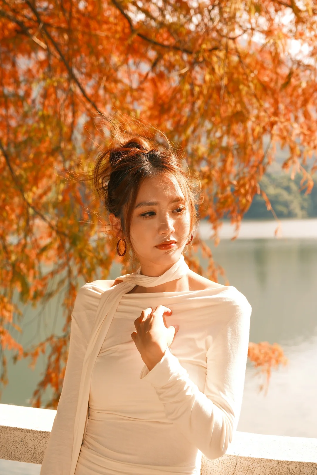 仙湖City walk📍落羽杉已美到最大值(附攻略