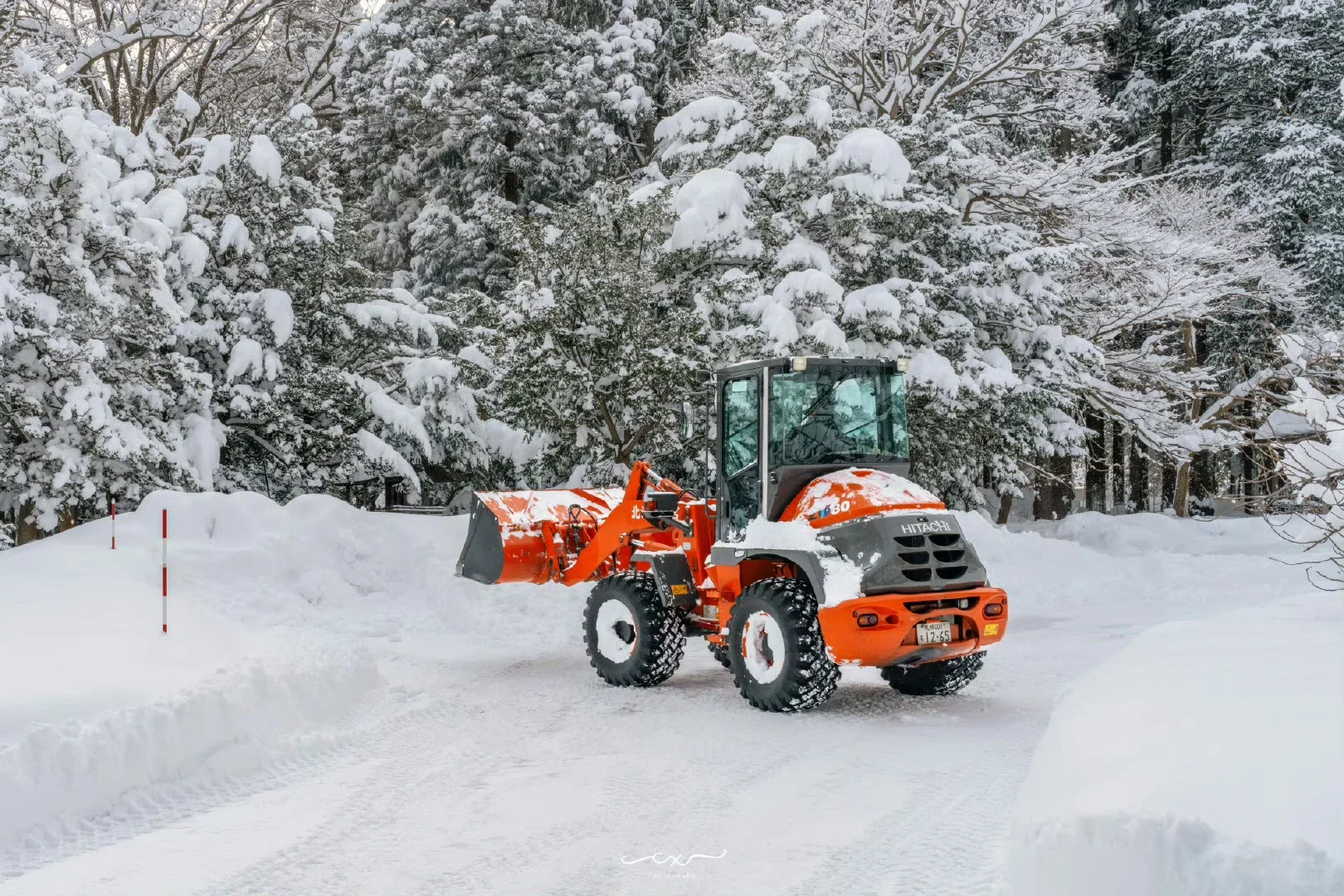 札幌必打卡景點：圓山公園｜攻略