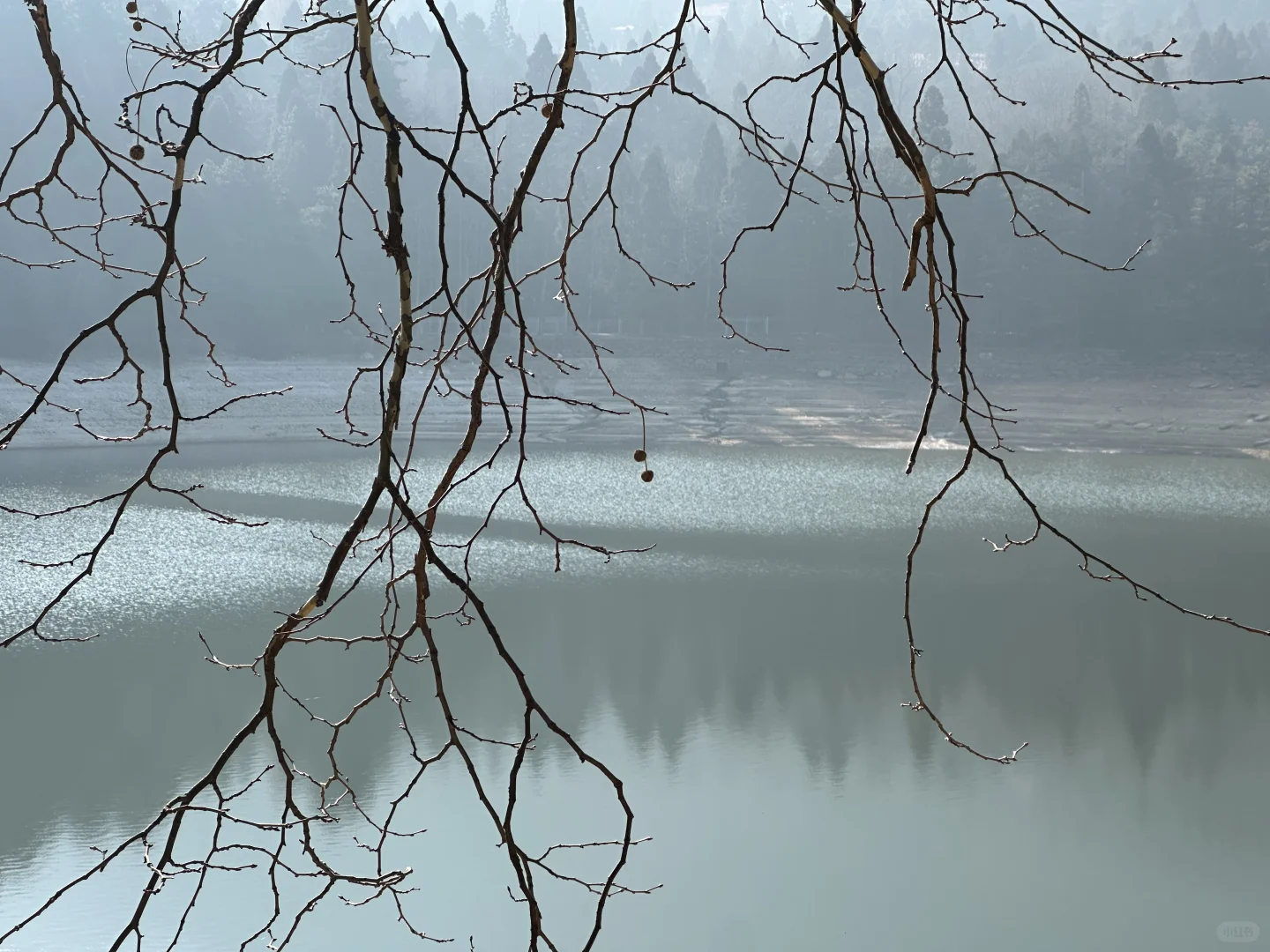 三山五岳之庐山一日游（懒人攻略）