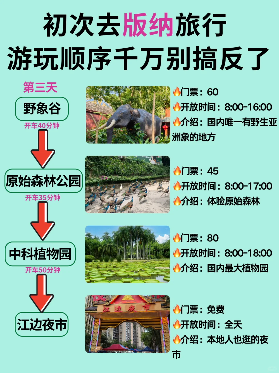 替大家去过了❗️西双版纳三天两晚1k够了