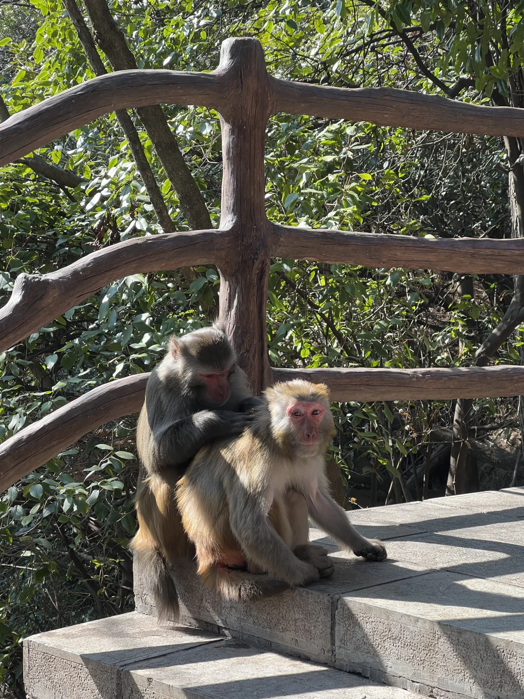 淡季的张家界太香了（附三天两夜路线）