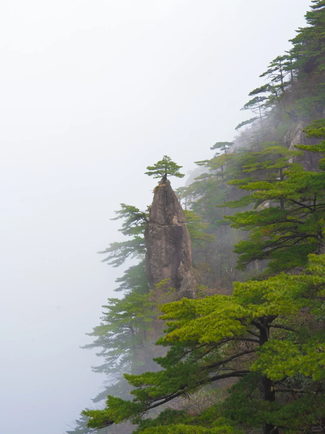 爬了3次黄山，总结了一条黄山保姆级攻略