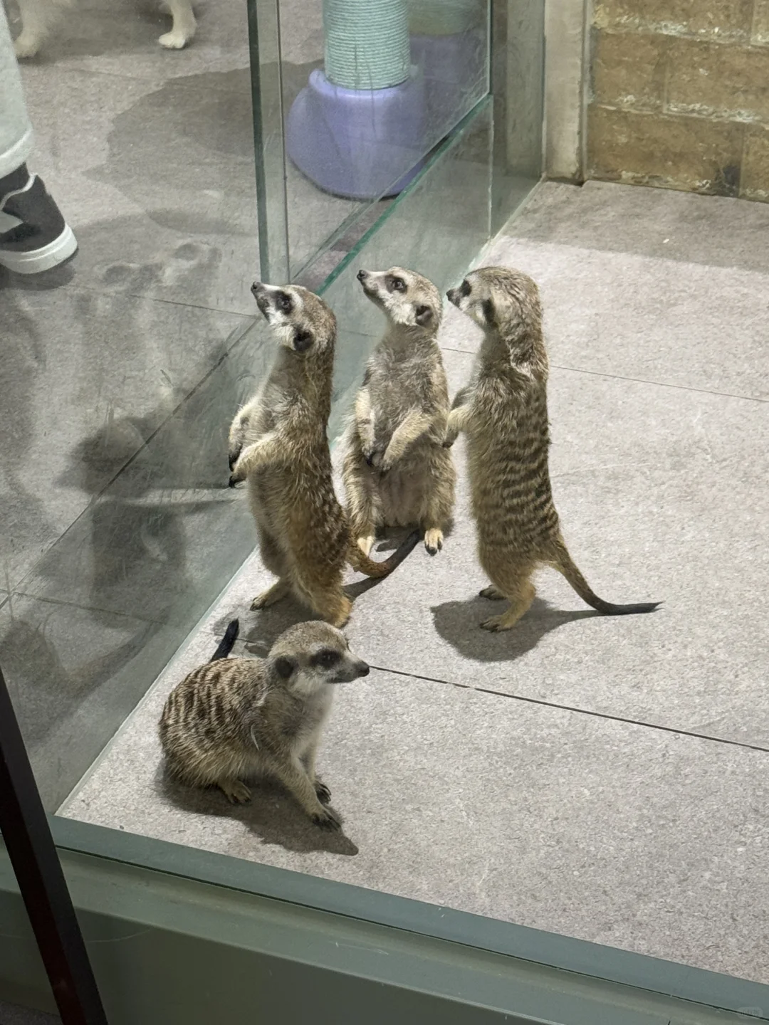 在大连当松弛特种兵!🌊🌊🌊