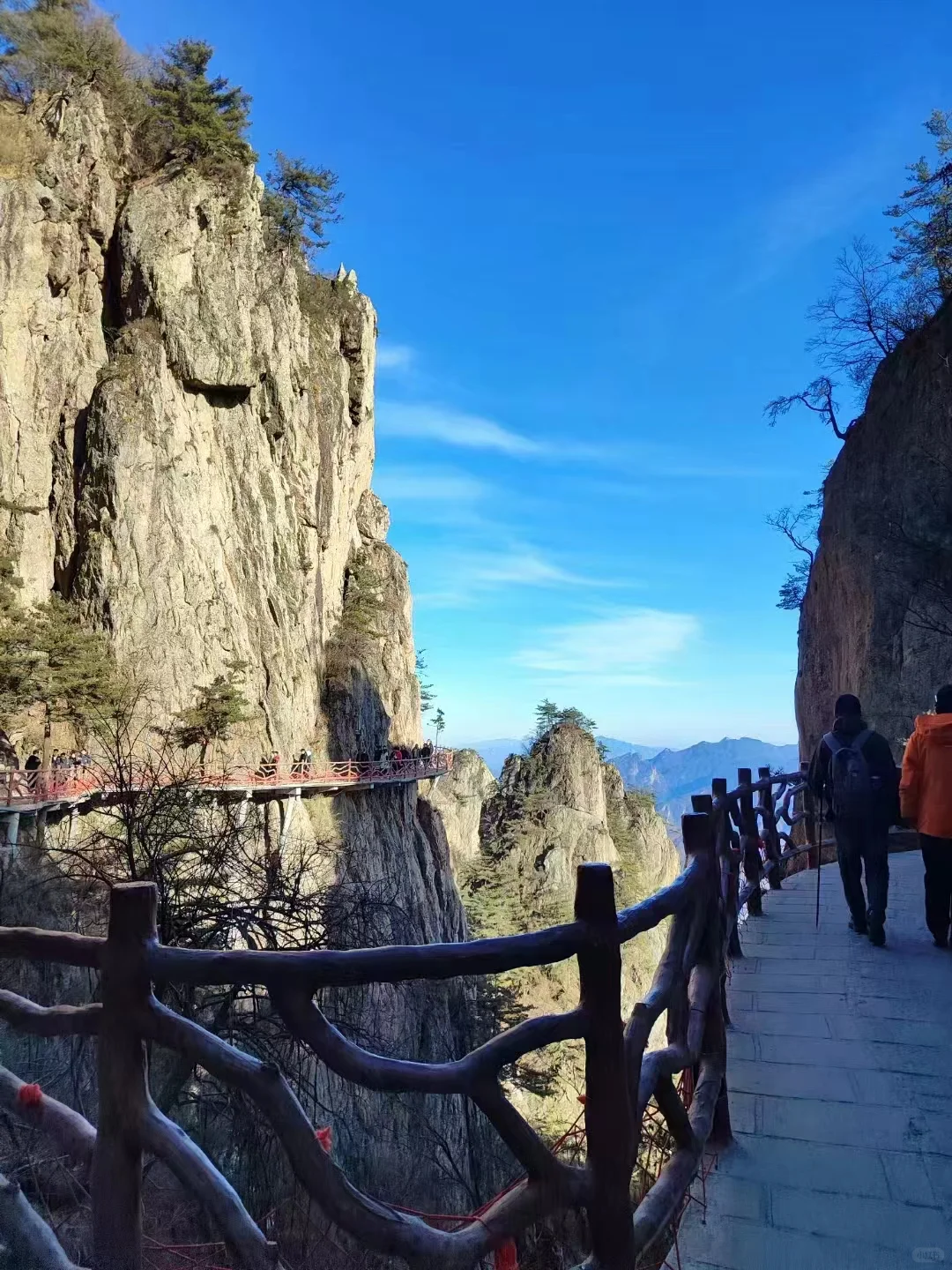 1.8老君山实况‼️山上的雪❄️都化完了！