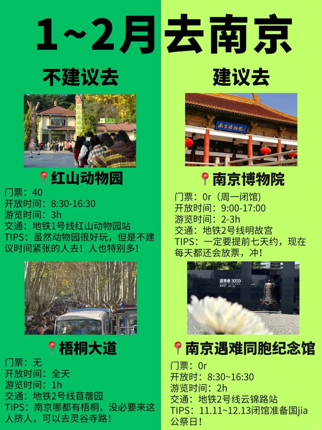 1-2🈷冬天来南京|听劝‼景点避雷