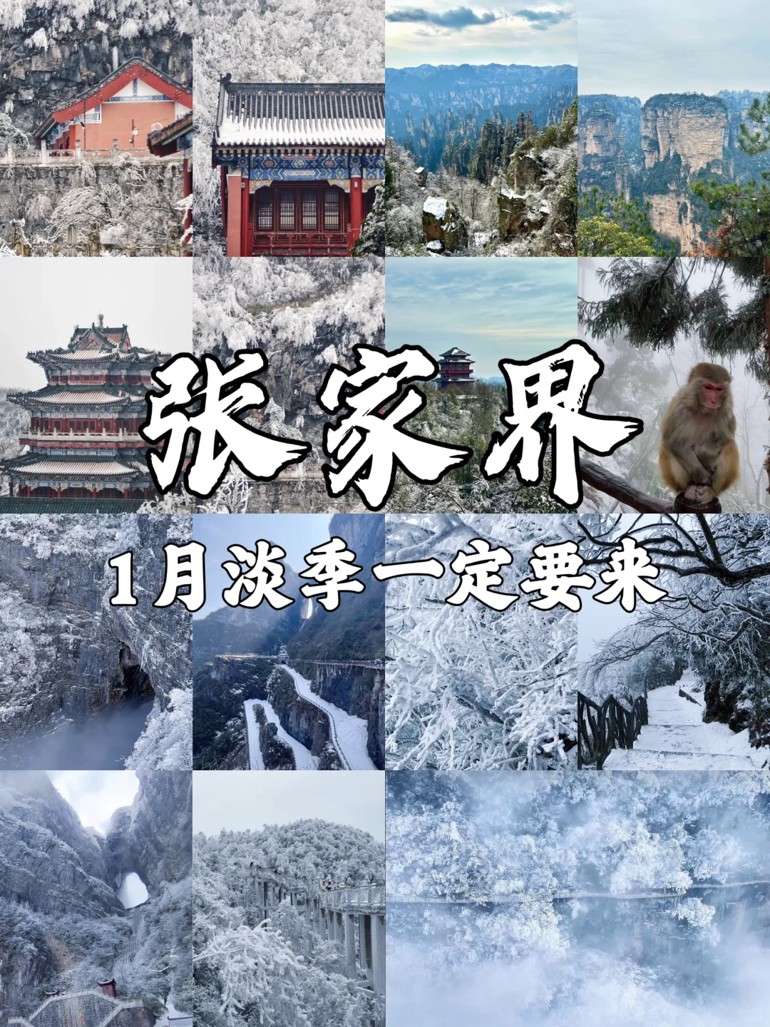 张家界下雪了❗️去看雪滑雪先做好这些准备