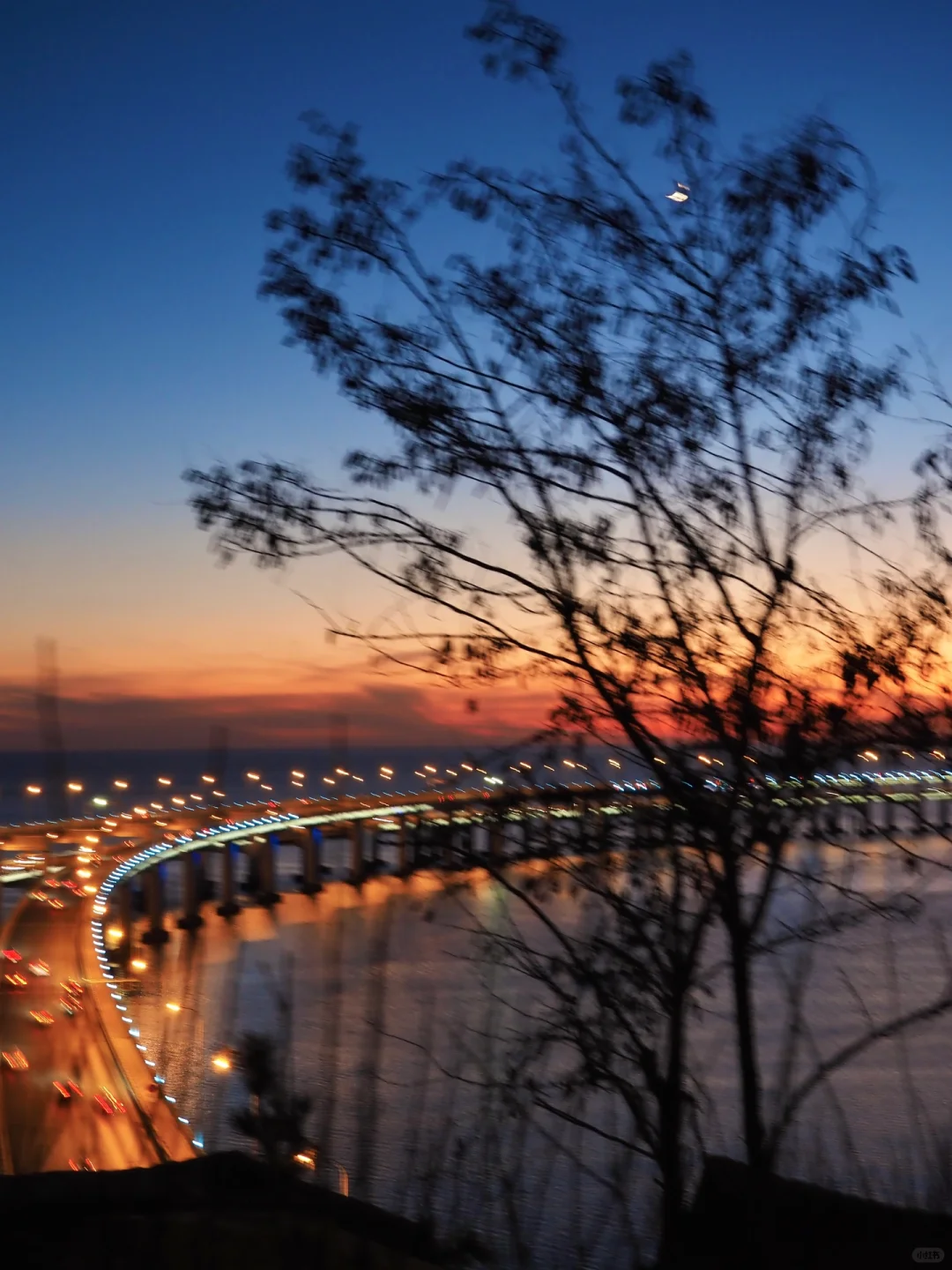 在大连当松弛特种兵!🌊🌊🌊