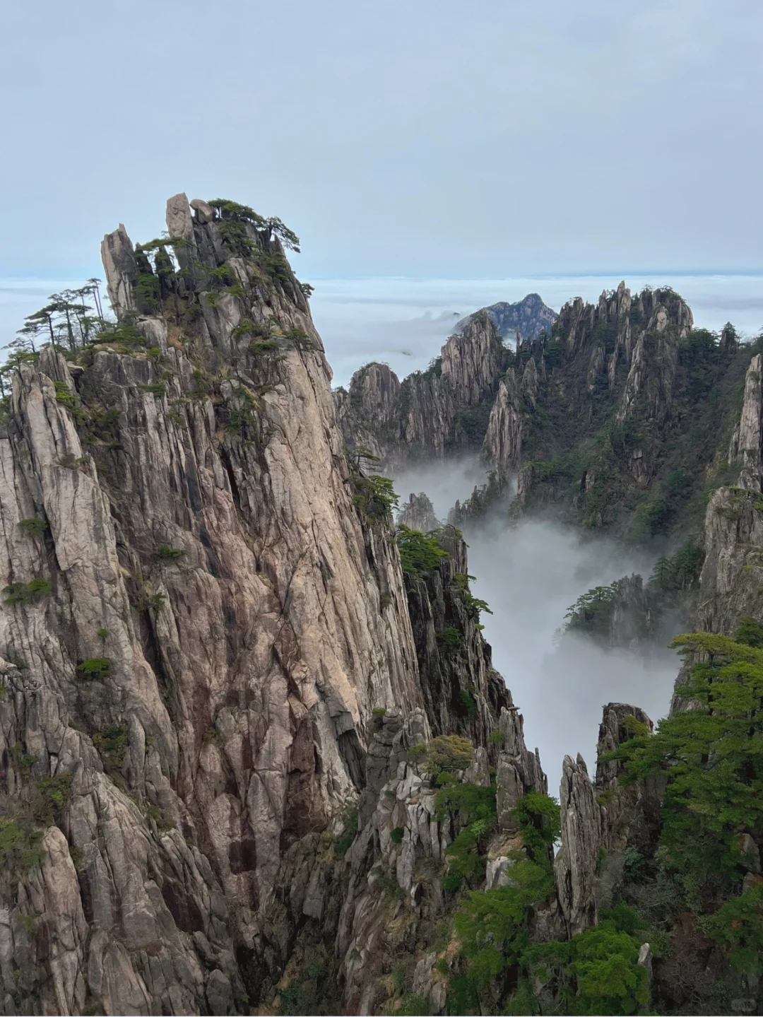 爬了3次黄山，总结了一条黄山保姆级攻略