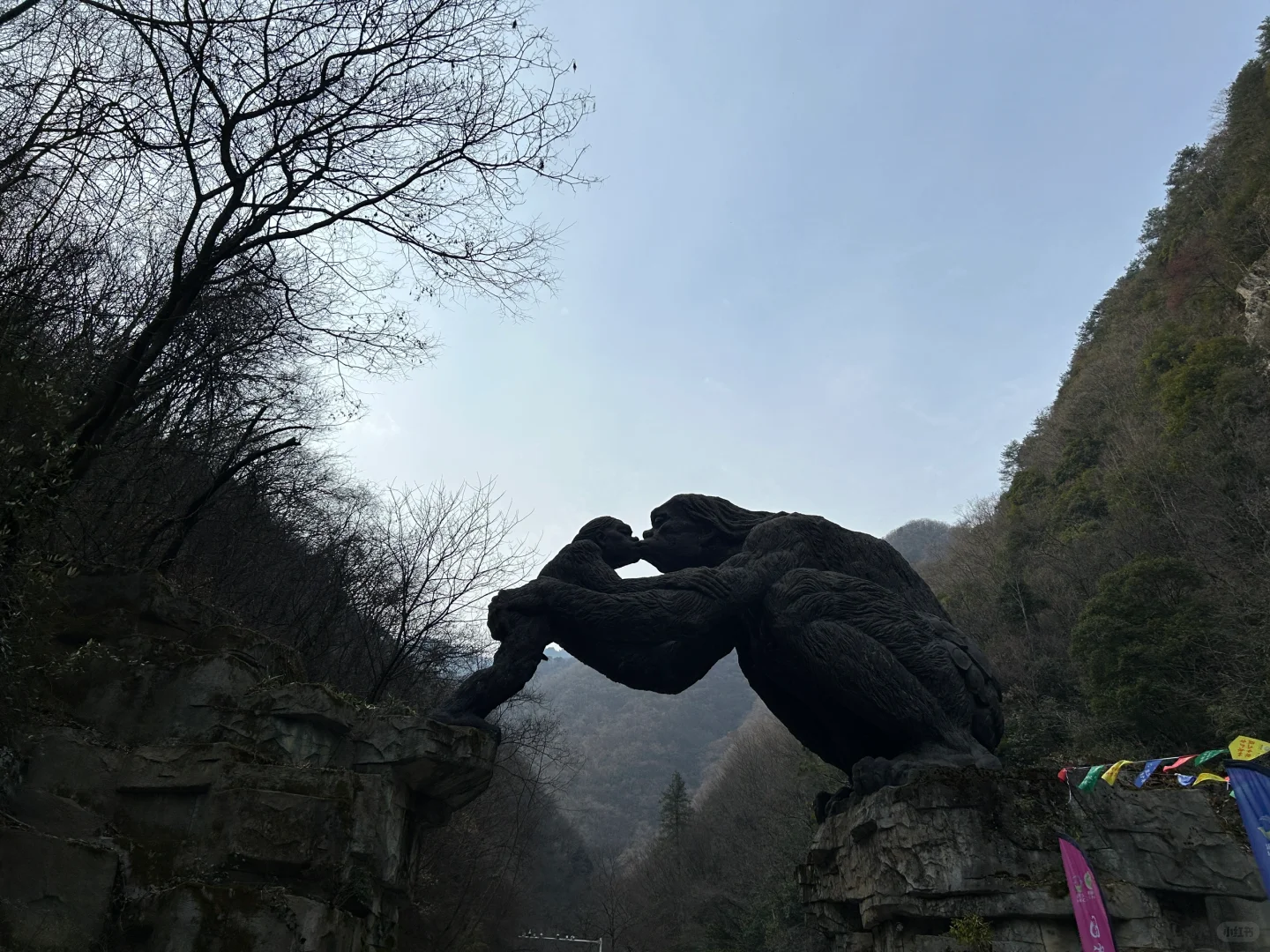 1月9号实况两人两狗自驾东莞-神农架之神农